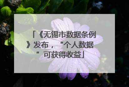《无锡市数据条例》发布，“个人数据”可获得收益