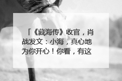 《藏海传》收官，肖战发文：小海，真心地为你开心！你看，有这么多人懂你！