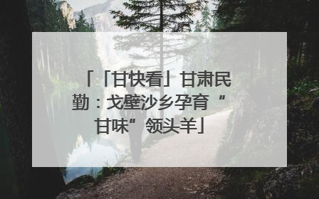 「甘快看」甘肃民勤：戈壁沙乡孕育“甘味”领头羊