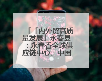 「内外贸高质量发展」永春县：永春香全球供应链中心、中国香都选品中心相继运营——一根香“点燃”百亿产业