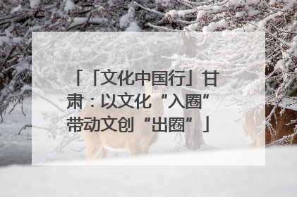 「文化中国行」甘肃：以文化“入圈”带动文创“出圈”