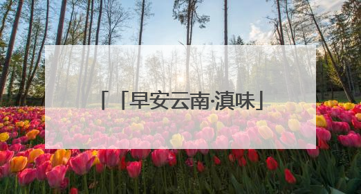 「早安云南·滇味」马龙荞丝：这份来自山野的馈赠，治愈着每一个寻味的游人
