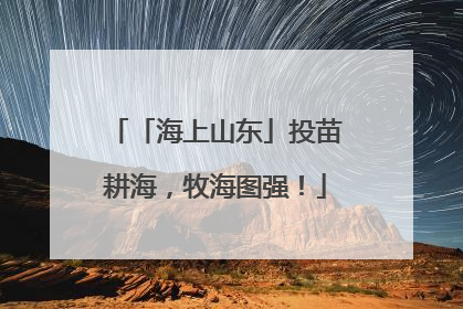 「海上山东」投苗耕海，牧海图强！