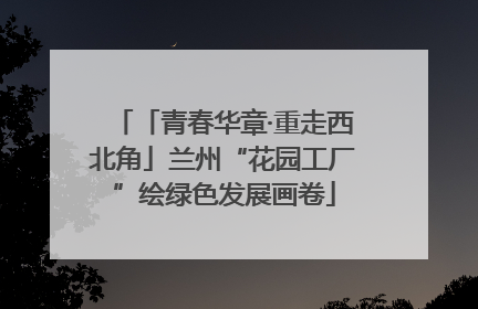 「青春华章·重走西北角」兰州“花园工厂”绘绿色发展画卷
