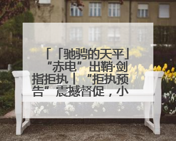 「驰骋的天平」“赤电”出鞘·剑指拒执︱“拒执预告”震撼督促，小心“执行”变“执刑”