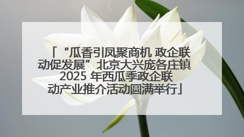 “瓜香引凤聚商机 政企联动促发展”北京大兴庞各庄镇 2025 年西瓜季政企联动产业推介活动圆满举行