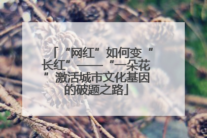 “网红”如何变“长红”——“一朵花”激活城市文化基因的破题之路