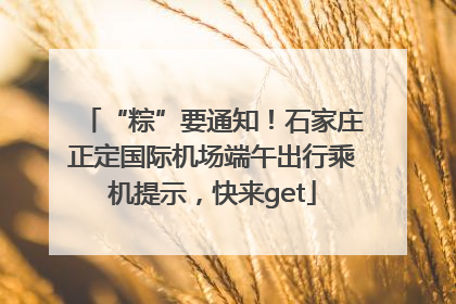 “粽”要通知！石家庄正定国际机场端午出行乘机提示，快来get