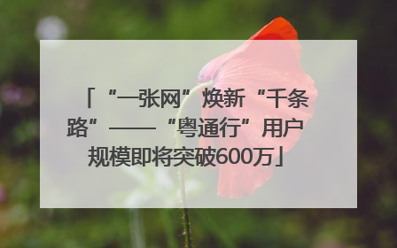 “一张网”焕新“千条路”——“粤通行”用户规模即将突破600万