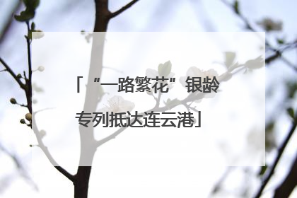 “一路繁花”银龄专列抵达连云港