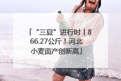 “三夏”进行时丨866.27公斤！河北小麦亩产创新高