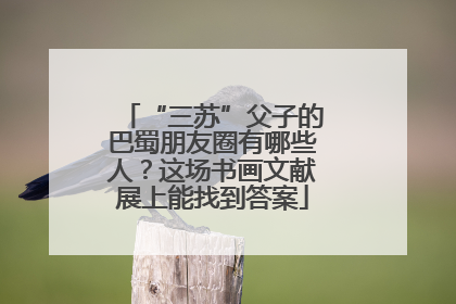 “三苏”父子的巴蜀朋友圈有哪些人？这场书画文献展上能找到答案