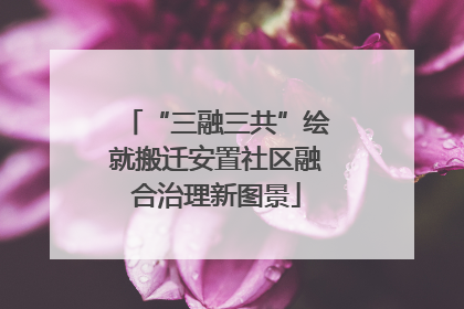 “三融三共”绘就搬迁安置社区融合治理新图景