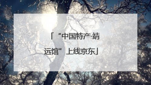 “中国特产·靖远馆”上线京东