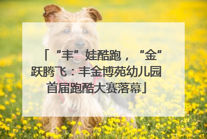 “丰”娃酷跑，“金”跃腾飞：丰金博苑幼儿园首届跑酷大赛落幕