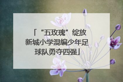 “五玫瑰”绽放 新城小学混编少年足球队勇夺四强
