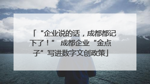 “企业说的话，成都都记下了！” 成都企业“金点子”写进数字文创政策