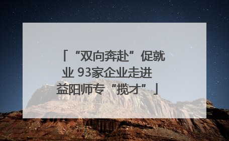 “双向奔赴”促就业 93家企业走进益阳师专“揽才”