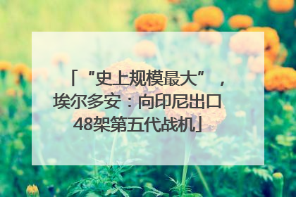 “史上规模最大”，埃尔多安：向印尼出口48架第五代战机