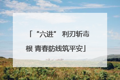 “六进” 利刃斩毒根 青春防线筑平安