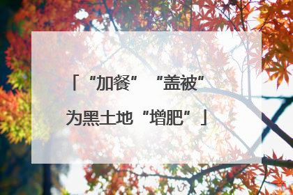 “加餐”“盖被” 为黑土地“增肥”