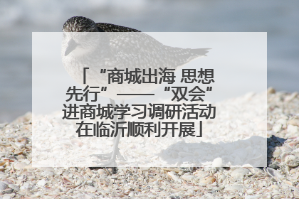 “商城出海 思想先行”——“双会”进商城学习调研活动在临沂顺利开展