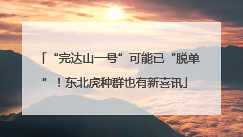 “完达山一号”可能已“脱单”！东北虎种群也有新喜讯