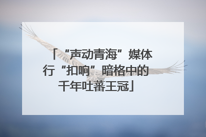 “声动青海”媒体行“扣响”暗格中的千年吐蕃王冠