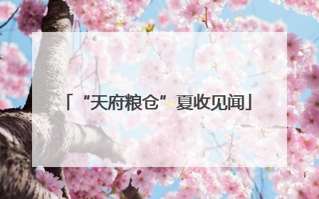 “天府粮仓”夏收见闻