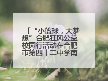 “小篮球，大梦想”合肥狂风公益校园行活动在合肥市第四十二中学南城分校圆满落幕