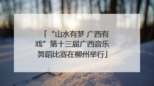 “山水有梦 广西有戏”第十三届广西音乐舞蹈比赛在柳州举行