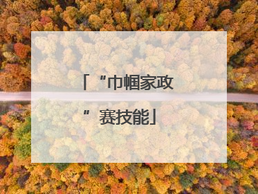 “巾帼家政”赛技能