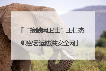 “接触网卫士”王仁杰织密暑运防洪安全网