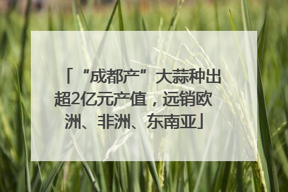 “成都产”大蒜种出超2亿元产值，远销欧洲、非洲、东南亚