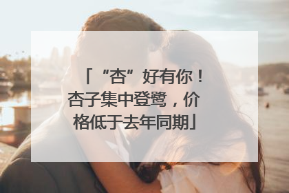 “杏”好有你！杏子集中登鹭，价格低于去年同期