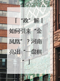 “政”解丨如何引来“金凤凰”？河南亮出“一盘棋”