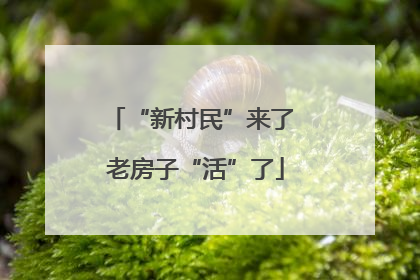 “新村民”来了 老房子“活”了