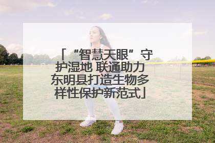 “智慧天眼”守护湿地 联通助力东明县打造生物多样性保护新范式