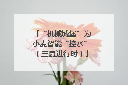 “机械城堡”为小麦智能“控水”（三夏进行时）