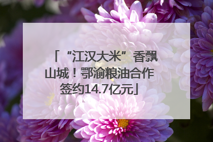 “江汉大米”香飘山城！鄂渝粮油合作签约14.7亿元