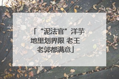 “泥法官”洋芋地里划界限 老王老郭都满意