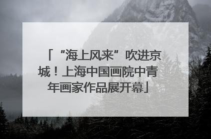 “海上风来”吹进京城！上海中国画院中青年画家作品展开幕
