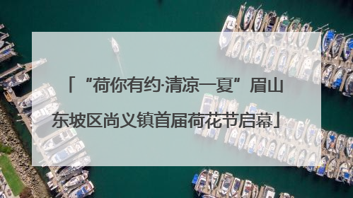 “荷你有约·清凉一夏”眉山东坡区尚义镇首届荷花节启幕