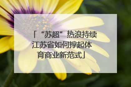 “苏超”热浪持续 江苏省如何撑起体育商业新范式
