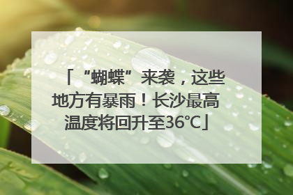 “蝴蝶”来袭，这些地方有暴雨！长沙最高温度将回升至36℃
