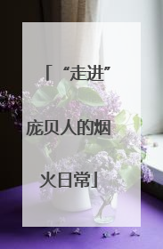 “走进”庞贝人的烟火日常