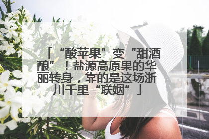“酸苹果”变“甜酒酿”！盐源高原果的华丽转身，靠的是这场浙川千里“联姻”