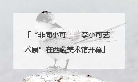“非同小可——李小可艺术展”在西藏美术馆开幕