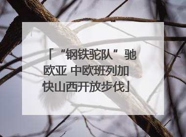 “钢铁驼队”驰欧亚 中欧班列加快山西开放步伐