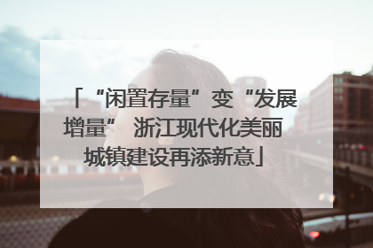“闲置存量”变“发展增量” 浙江现代化美丽城镇建设再添新意